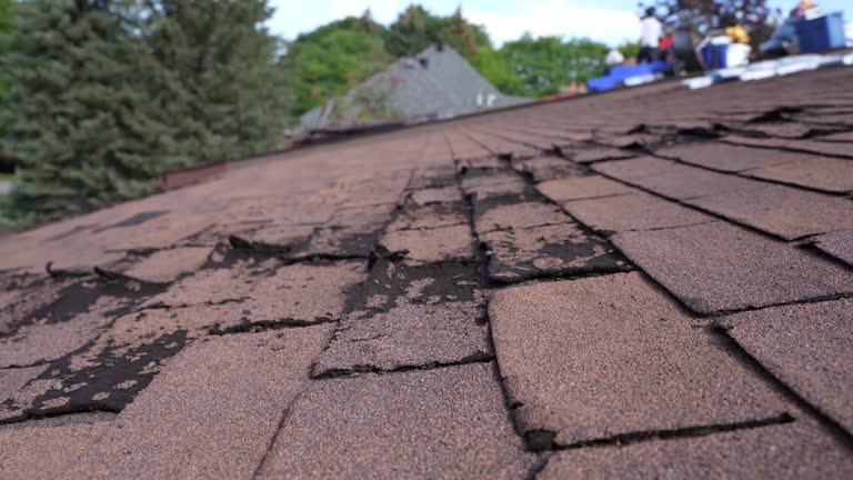 Gutter Replacement in Steele, AL