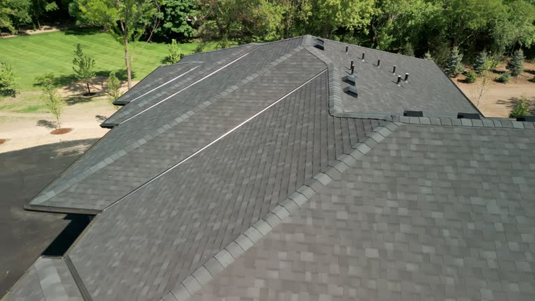 Best Skylight Installation and Repair  in Steele, AL