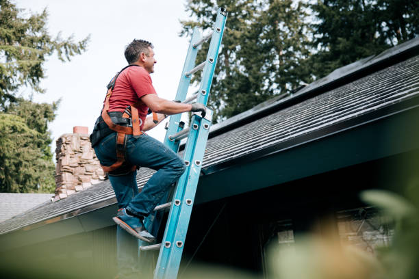 Best Roof Installation  in Steele, AL